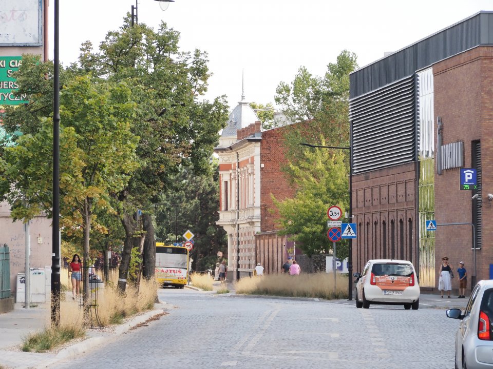 Utrzymanie terenów zielonych w pasach drogowych