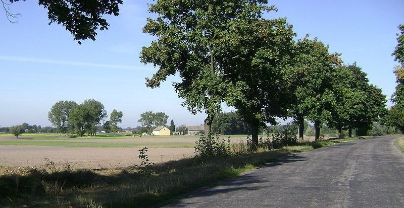 Będą pieniądze na gminne drogi!