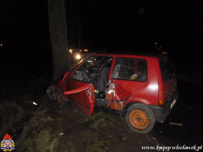 Cinquecento na drzewie