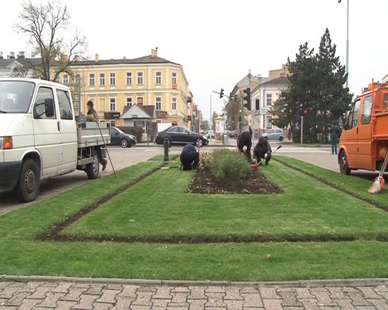 Konserwują zieleń w centrum. Część trawników nadal w fatalnym stanie…