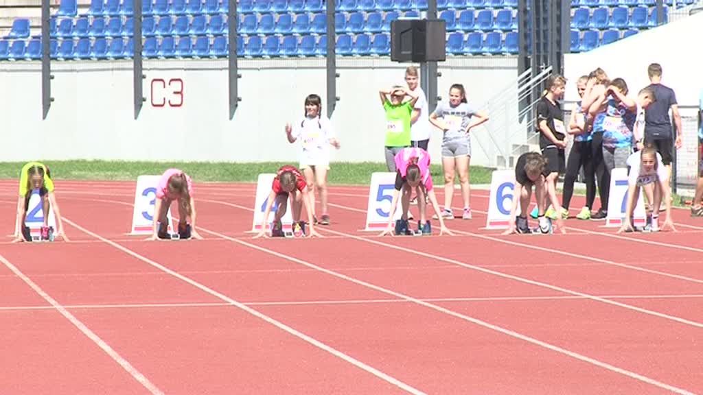 Które szkoły w mieście dominują w rozgrywkach sportowych?