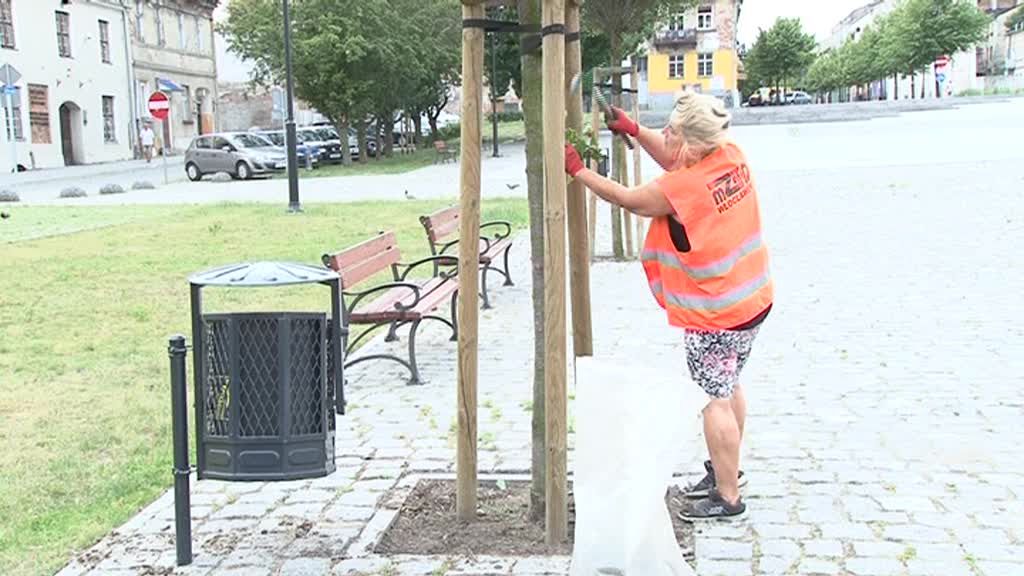 MZUKiD posprząta bulwary i Stary Rynek