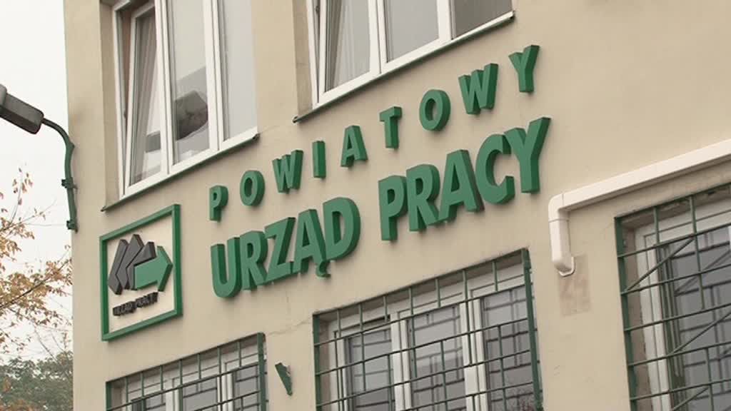 Powiatowy Urząd Pracy we Włocławku rozpocznie kolejny nabór wniosków dla osób do 30 roku życia.