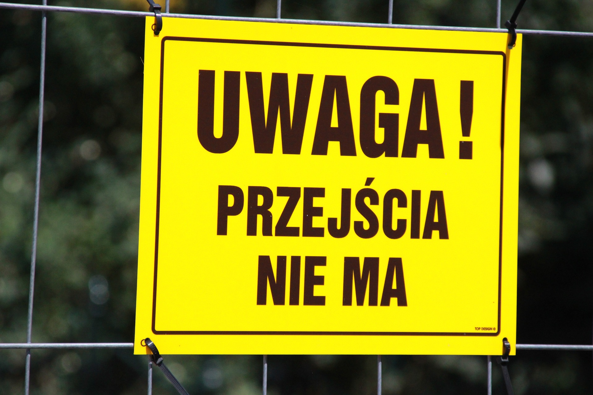 Jak wykorzystywać słupki z taśmą? 