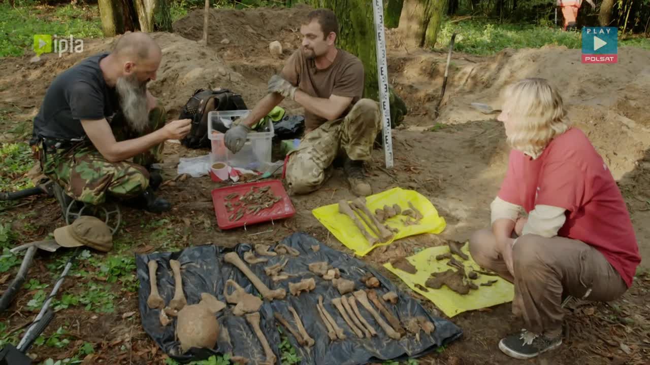 Stara mogiła, tajemnice powstańców i … cmentarne hieny. Poszukiwacze historii w Szewie