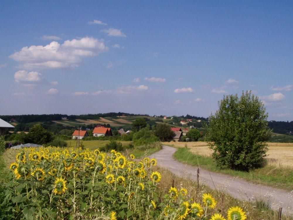 Zdaniem marszałka możemy sobie pogratulować